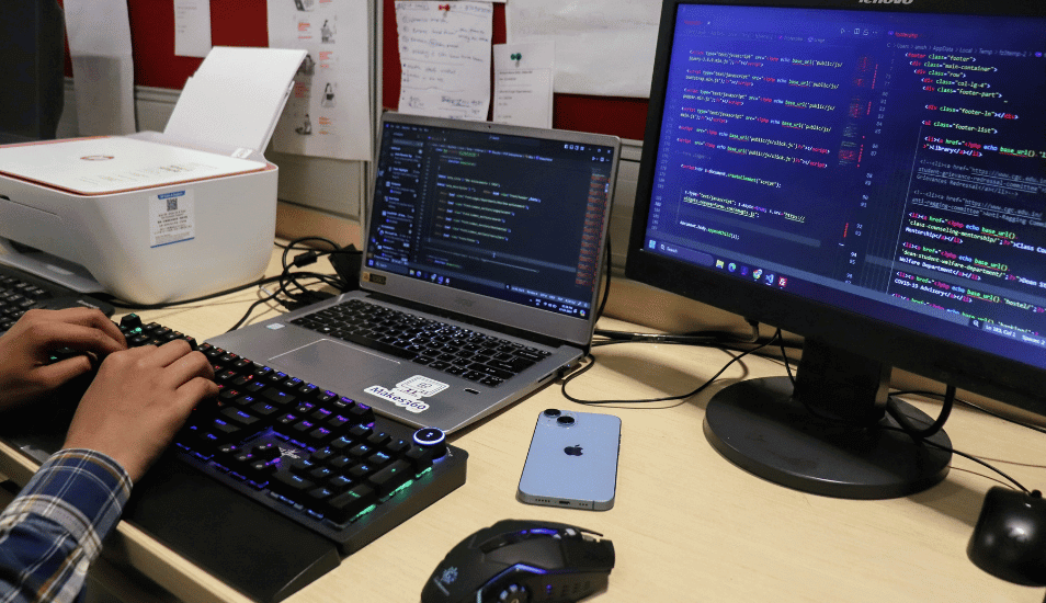 Custom Web Development