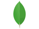 MongoDB icon