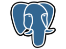 PostgreSQL icon