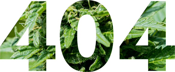 404